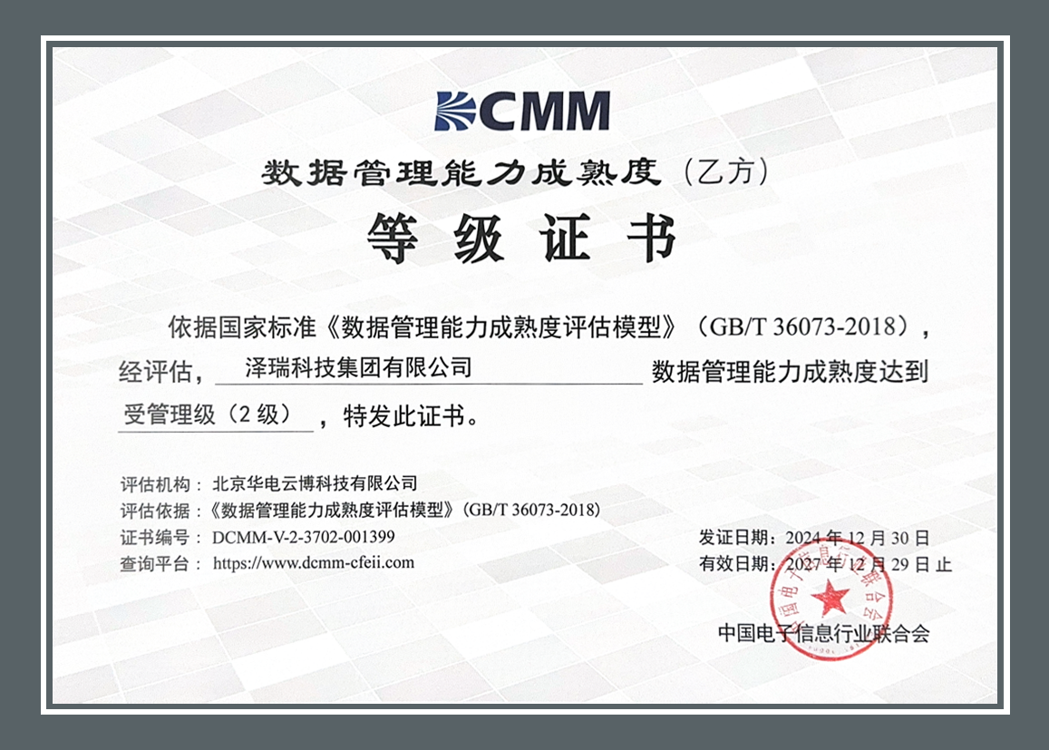 DCMM-2級